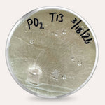 Mushroom Plate Cultures