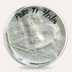Mushroom Plate Cultures