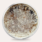 Mushroom Plate Cultures