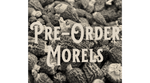 PRE-ORDER Fresh Morels - Wild Foraged