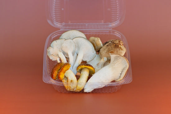 Enchanted Farms Mushrooms