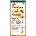Mushrooms of the Rocky Mountain Region