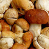 Wine Forest Porcini Powder