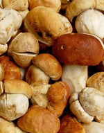 Wine Forest Porcini Salt