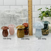 Crystal Gemstone Mushrooms - You Choose Weight and Stone -