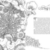 Fantastic Fungi: The Coloring Book