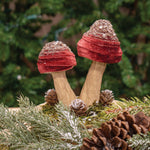Burgundy Velvet Glittered Mushrooms Sitter