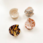 Cora | Small Round Swirly Seashell Claw Clip