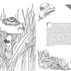 Fantastic Fungi: The Coloring Book