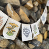 Rainbow Mushrooms Prayer Flags