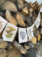 Rainbow Mushrooms Prayer Flags