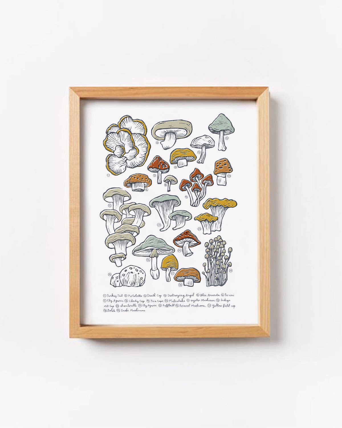 Mushroom & Fungi Art Print