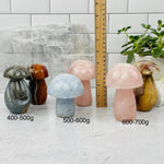 Crystal Gemstone Mushrooms - You Choose Weight and Stone -