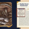 Little Book of Mushrooms by Alex Dorr