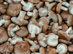 Fresh Shiitake Mushrooms