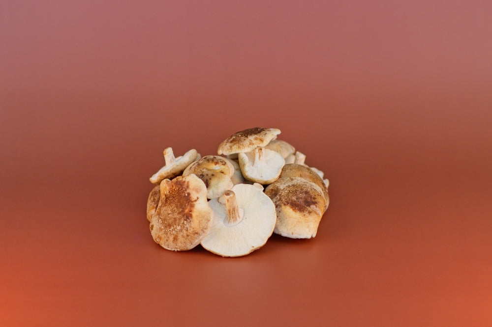 Fresh Shiitake Mushrooms