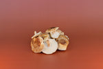Fresh Shiitake Mushrooms